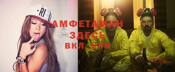 сатива Россошь