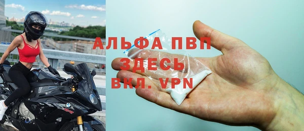 сатива Россошь