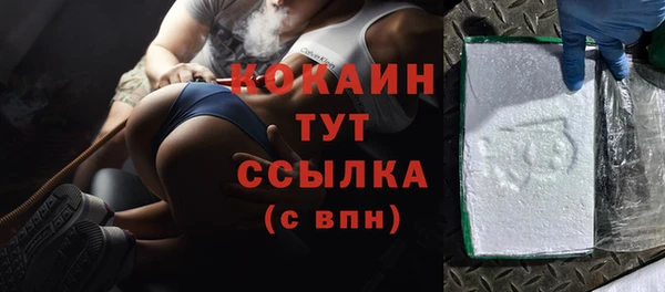 сатива Россошь