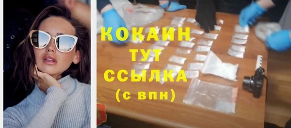 стаф Рославль