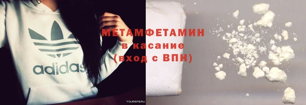 хмурый Пересвет