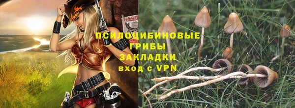 СК Ростов