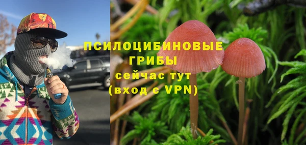 СК Ростов