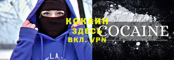 сатива Россошь
