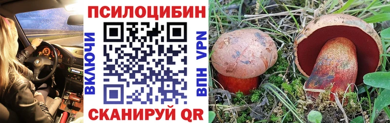 Псилоцибиновые грибы ЛСД  kraken ССЫЛКА  Покачи 