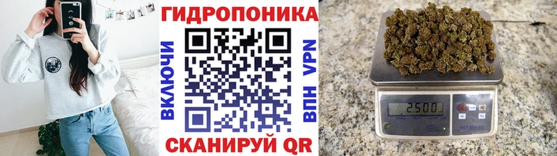 omg как войти  Покачи  МАРИХУАНА SATIVA & INDICA  цена наркотик 